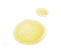 Nighttime Scalp Serum by Nuele for Calicapelli Hair Tools